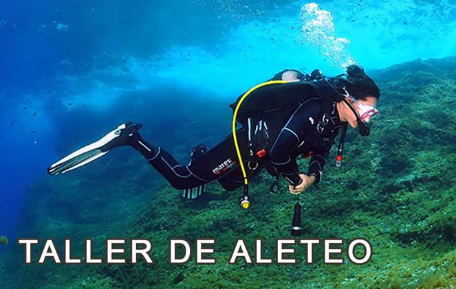 Clarico-Slider Style 4