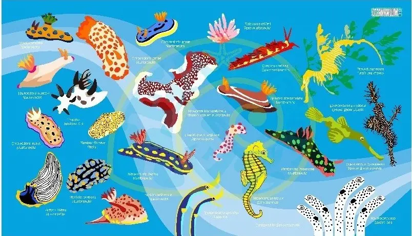 Toalla Oceanarium