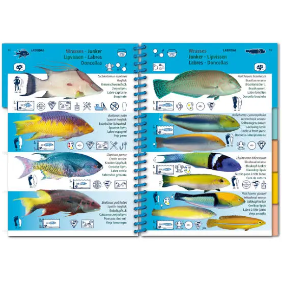 Libro Look&Sea 182 Especies Aqua 