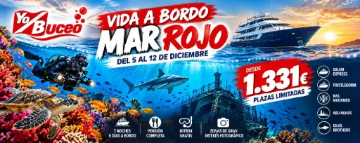 Viaje Mar Rojo 2026: Reserva 