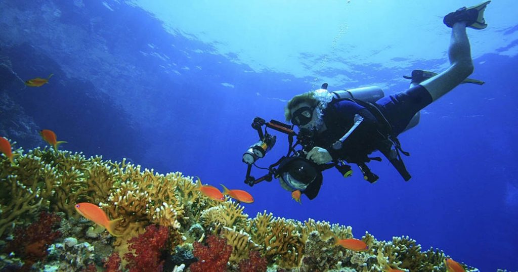 Una de las especialidades del buceo autónomo es la Fotografía Digital Submarina y en Yo Buceo tenemos el programa disponible para ti.